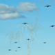 Illustration for article titled 24 C-130s 'Elephant Walk' For The USAF's Joint Forcible Entry Exercise